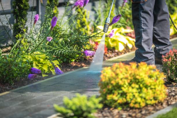 Best Commercial Pressure Washing in Reidsville, GA
