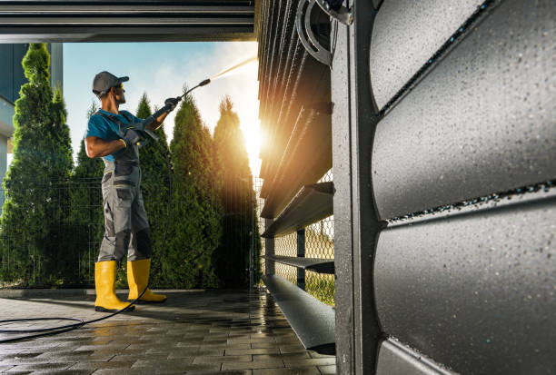 Best Soft Washing for Delicate Surfaces in Reidsville, GA