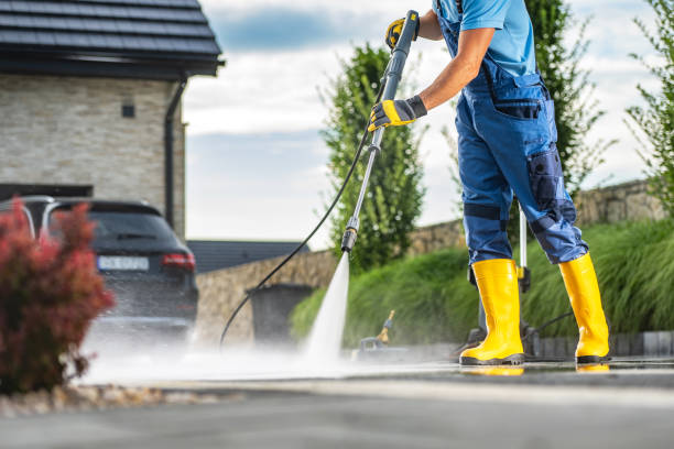 Best Roof Cleaning and Mildew Removal in Reidsville, GA